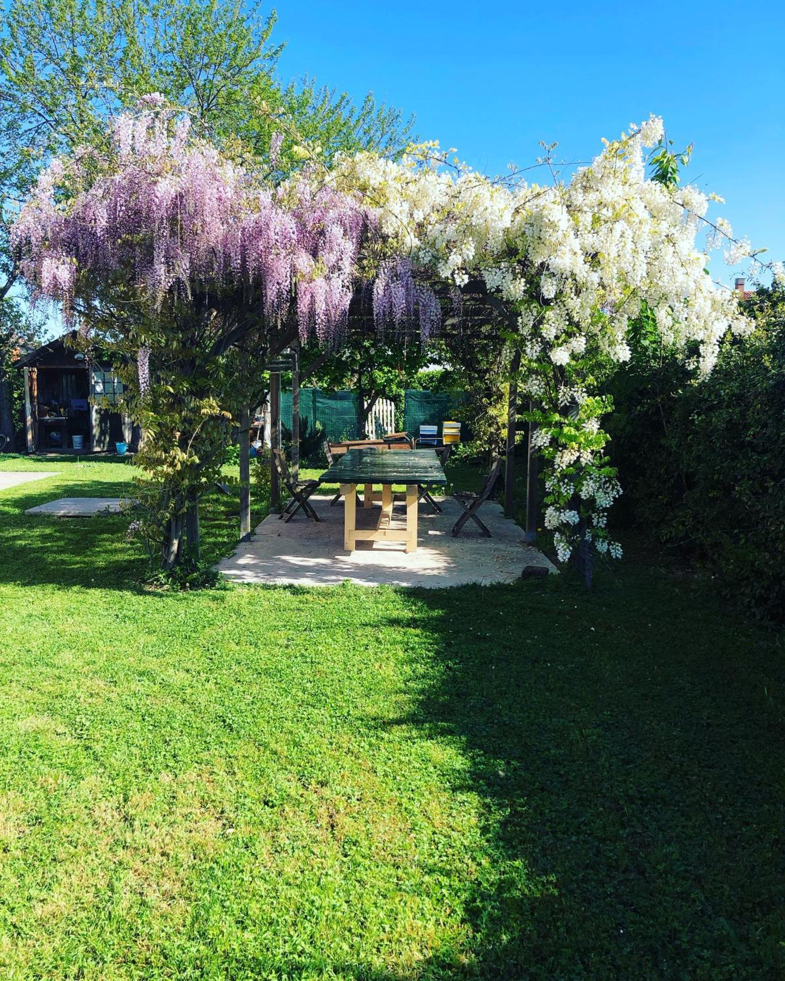 B&B Melloni Street Dolo Bagian luar foto